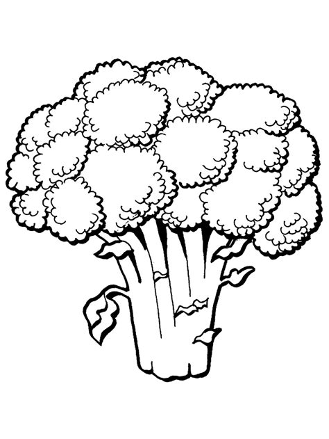 fruit  vegetable coloring pages primarygamescom
