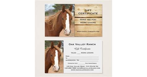 horse riding lessons gift certificate template zazzlecom