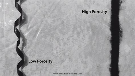 hair porosity lco  loc method  lasting layered moisture