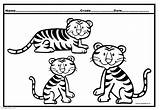 Cub Tiger Coloring Pages Kids Cute sketch template