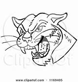 Cougar Head Hissing Cartoon Clipart Drawing Vector Royalty Lafftoon Getdrawings sketch template