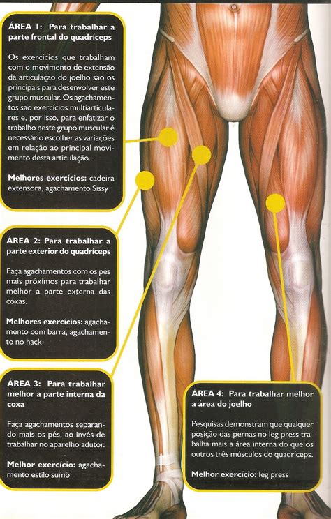musculoscia treino completo  pernas