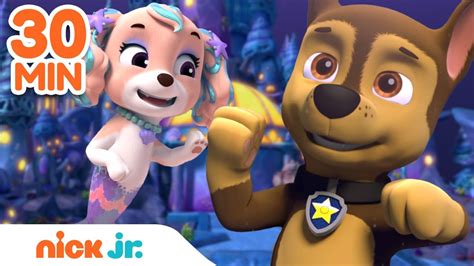 paw patrol mer pup rescues  skye coral chase rubble zuma