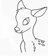 Deer Chevreuil Simple Leisure Enjoyable Clipartmag Hueva sketch template