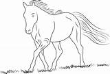 Horse Walking Coloring Categories Pages sketch template