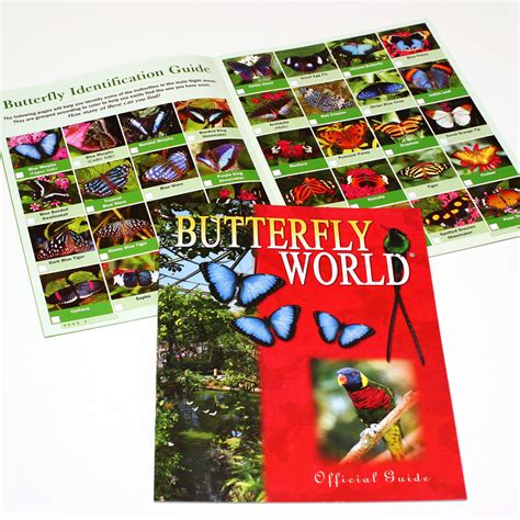 digital guide book butterfly world