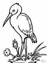 Stork Clipart Coloring Pages Bangau Baby Drawing Clip Cliparts Storks Delivering Colouring Printable Cute Bird Getdrawings Clipground Color Library Drawings sketch template