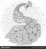 Swan Zentangle Ethnic Ornamental sketch template