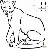 Coloring Cougar Drawing Pages Easy Clipart Animals Color Drawings sketch template