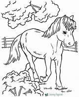 Horse Coloring Horses Print Pages Pony Color Colouring Printable Baby Kids Farm Animal Sheets Printing Disney Getcolorings Ponies Animals Book sketch template