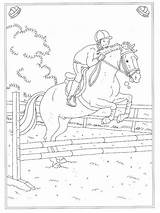 Paard Springen Ausmalbild Paarden Leukekleurplaten Pferd Springendes Malvorlage Ausmalbilder Ausdrucken Besteausmalbilder Coloringpage één sketch template