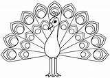Peacock Template Printable Drawing Coloring Outline Pages Crafts Paper Templates Supercoloring Categories Skip Main sketch template