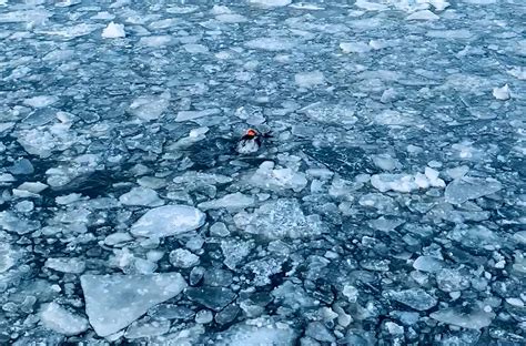 great arctic swim
