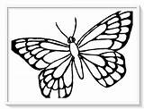 Mariposa Mariposas Monarca Prontas Lindos sketch template
