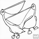 Pelicans sketch template