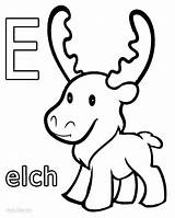 Moose Elch Malvorlagen Ausmalbilder Cool2bkids sketch template