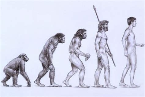 charles darwin theory evolution  related  knowledge