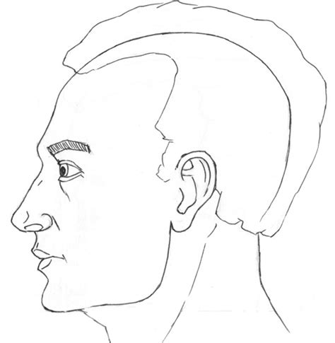 Learn To Draw A Side View Portrait Face