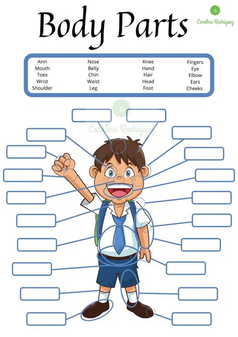 body parts  exercise  elementary