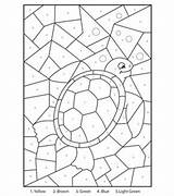 Number Colour Numbers Coloring Pages Sea Colouring Printable Turtle Color Turtles Sheets Kids Elephant Summer Fun Adult Easter Activity Activities sketch template