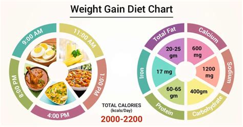 Diet Chart To Gain Weight For Females Chart Walls