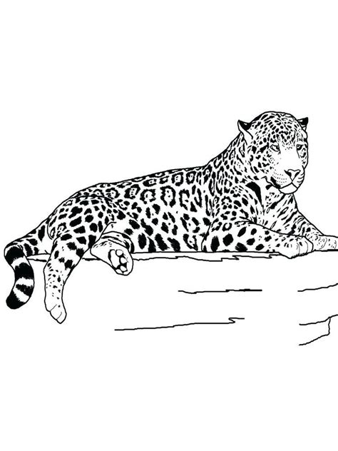 cheetah girl coloring pages     collection  cheetah