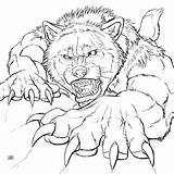 Lupi Mannari Mannaro Werewolf sketch template