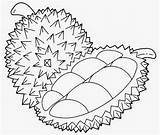 Durian Hitam Buah Buahan Mewarnai Sayuran Tempatan Jackfruit Sekolah Sayur Dunia Warna Mewarna Anak Poster Bagus Melukis Sekitar Kawasan Rebanas sketch template