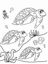 Coloring Migration Turtle Sea Pages Cute Cartoon Getcolorings Designlooter Color 03kb 797px Printable Print sketch template