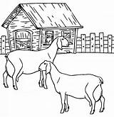 Granja Boerderij Fazenda Animais Ausmalbilder Bauernhof Topkleurplaat Goat Cool2bkids Dieren Goats Pintar Fazendinha Boerderijdieren Comofazeremcasa sketch template