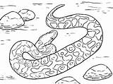 Coloring Snake Pages Anaconda Viper Rattlesnake Dodge Scary Ninjago Color Colouring Printable Snakes Diamondback Getcolorings Animal Sheet Sheets Getdrawings Colorings sketch template