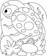 Coloring Pages Ladybug Printable Kids Insect Shell Lady Colouring Egg Getcolorings Color Insects Bird Rocks Comments sketch template