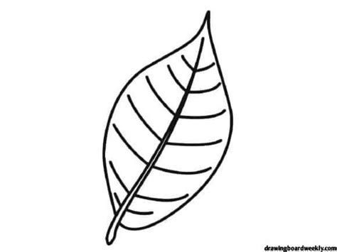 palm branch coloring page  palm branch   symbol  victory