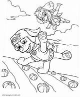 Patrol Paw Coloring Pages Zuma Printable Kids Skye Print Psi Do Wydruku Characters Kolorowanki Para Canina Malowanki Kit Patrulla Colorear sketch template