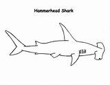 Shark Hammerhead Coloring Drawing Realistic Drawings Kids Easy Sharks Pages Print Color Kidsplaycolor Designlooter Book Choose Board Button Using sketch template