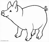 Coloring Pork Schwein Porquinho Ausmalbild Puercos Peppa Coloringbay Cerdo Kostenlos Ausdrucken Ius Pigs sketch template