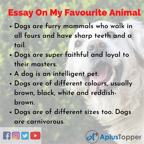 essay   favourite animal  favourite animal essay  students