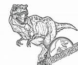 Rex Coloring Pages Color Dinosaurs Getcolorings sketch template