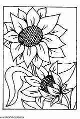 Coloring Burning Wood Girasol Girasoles Template Pages Adult sketch template
