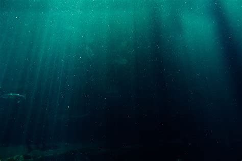 underwater deep sea   hd wallpaper wallpapertip