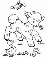 Coloring Baby Pages Animal Cute Print Animals Popular sketch template