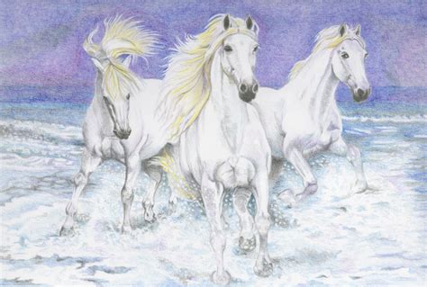 pencil drawings  horses