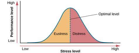 stress introduction  psychology