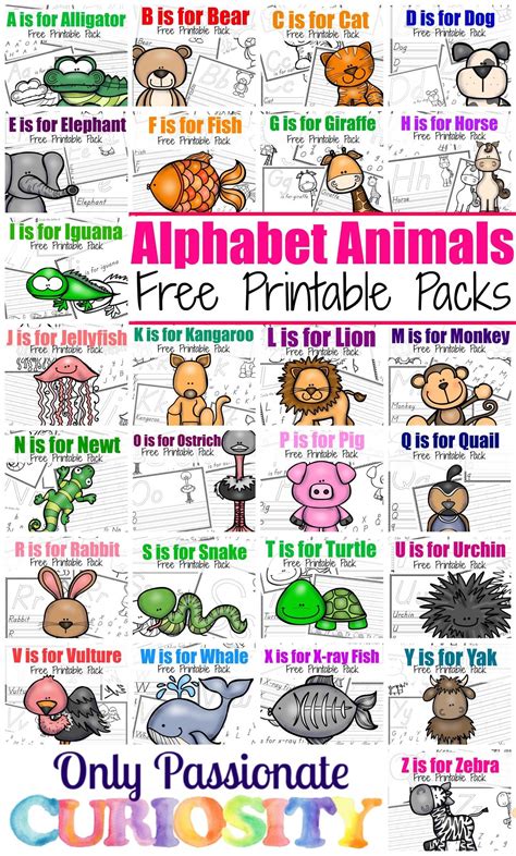 abc printables    passionate curiosity