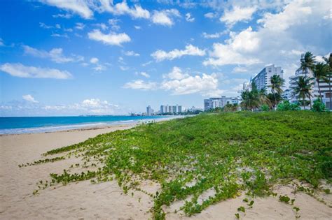 About Our Hotel Isla Verde Tryp By Wyndham