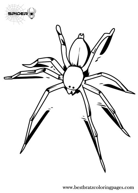 printable spider coloring pages  kids farm animal coloring