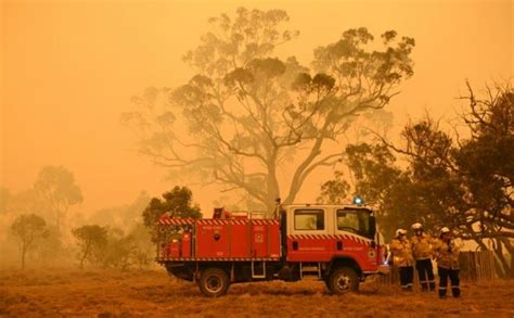 Australia Bushfire Smoke Linked To Hundreds Of Deaths