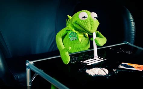 kermit  frog cocaine  wallpaper kermit drug memes   hd wallpaper