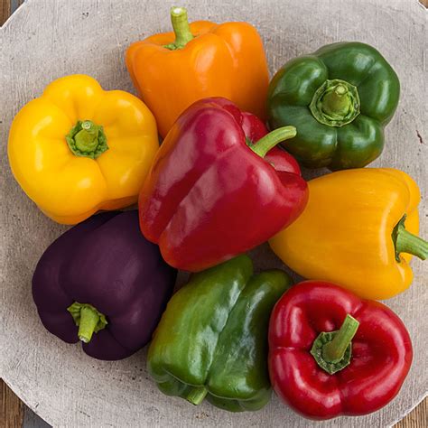 Sweet Bell Pepper Hybrid Mix Gurney S Seed And Nursery Co
