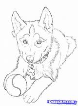 Drawing Husky Draw Huskies Puppy Easy Drawings Dog Step Dragoart Simple Cool sketch template